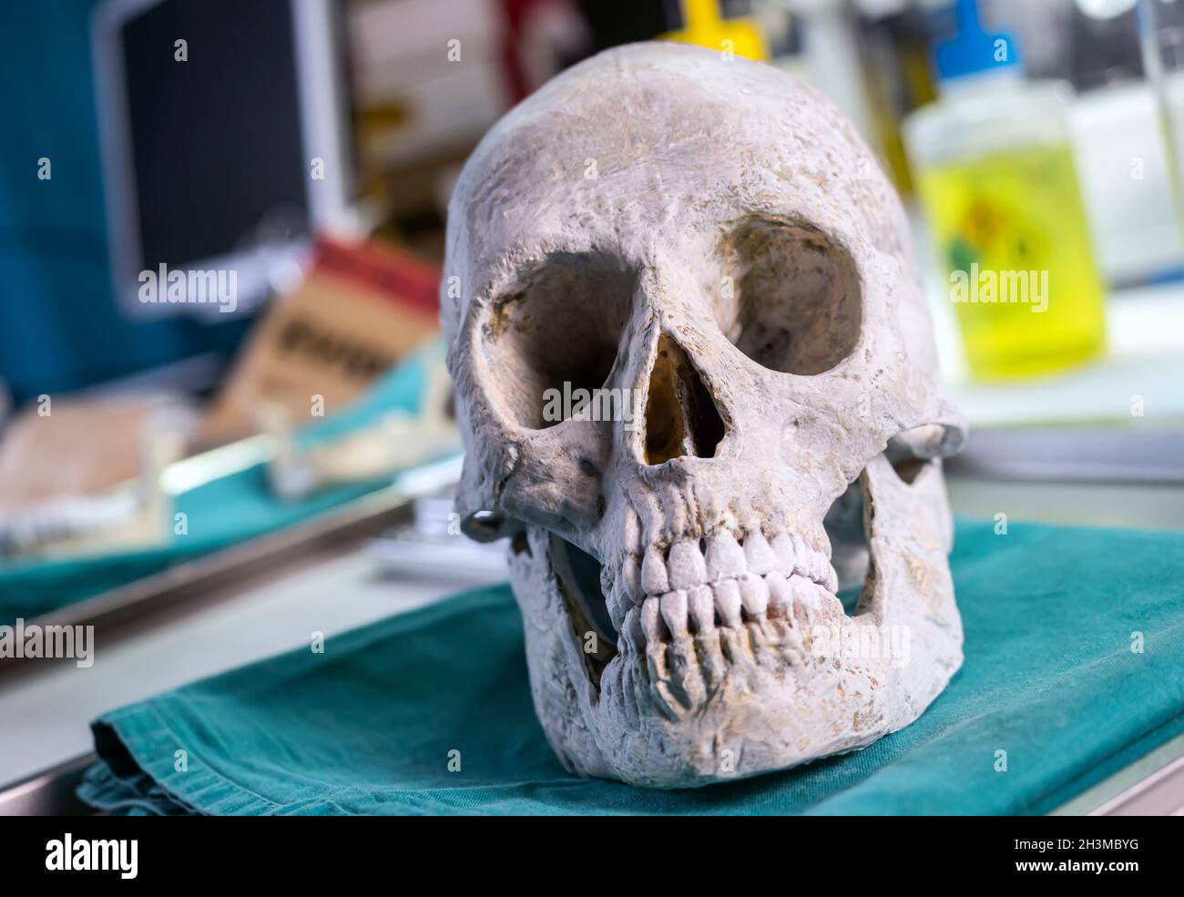 Crâne personne adulte dans l'enquête de meurtre dans un laboratoire judiciaire, image conceptuelle Banque D'Images