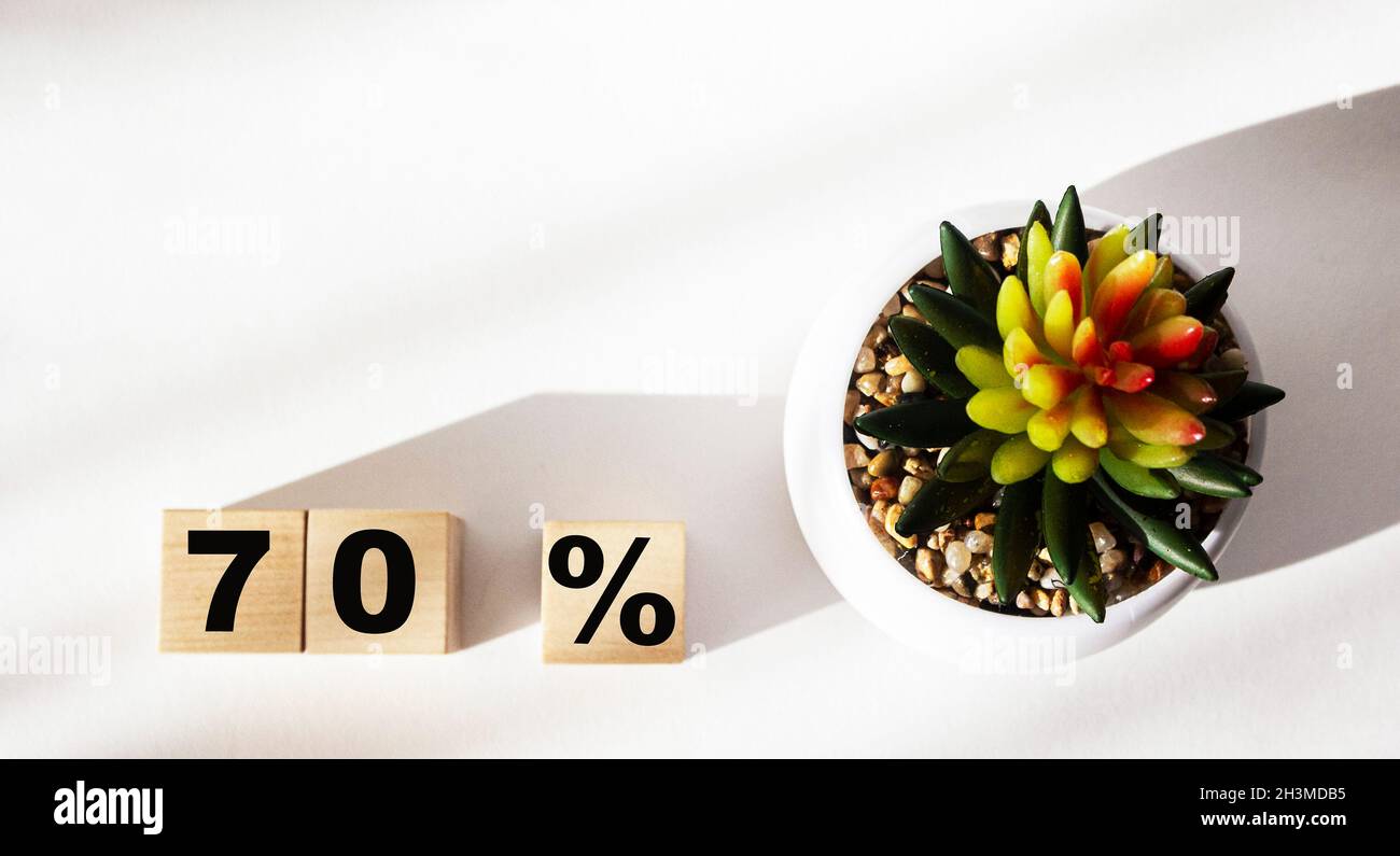 Cubes en bois avec inscription 70 sur fond blanc avec cactus Banque D'Images