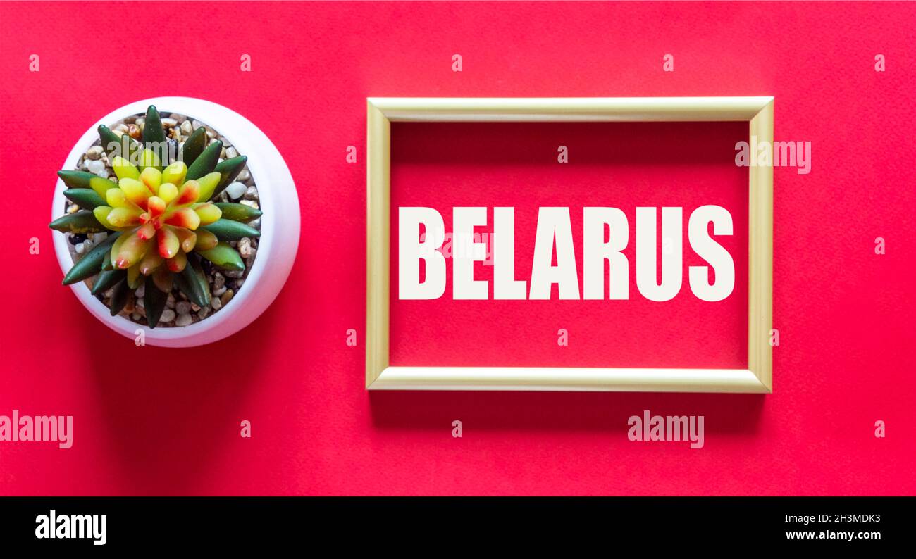 Sur fond rouge, un cadre doré avec le texte Belarus et un pot avec une fleur à proximité.Manifestations en Biélorussie 2020. Banque D'Images