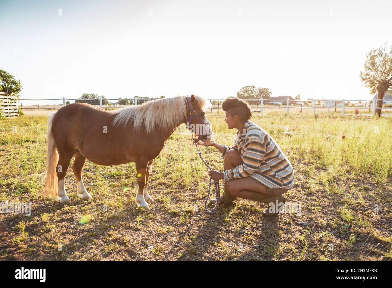 Souriante, une femme paysanne de taille moyenne adulte s'accroupir tout en nourrissant son cheval à la ferme Banque D'Images