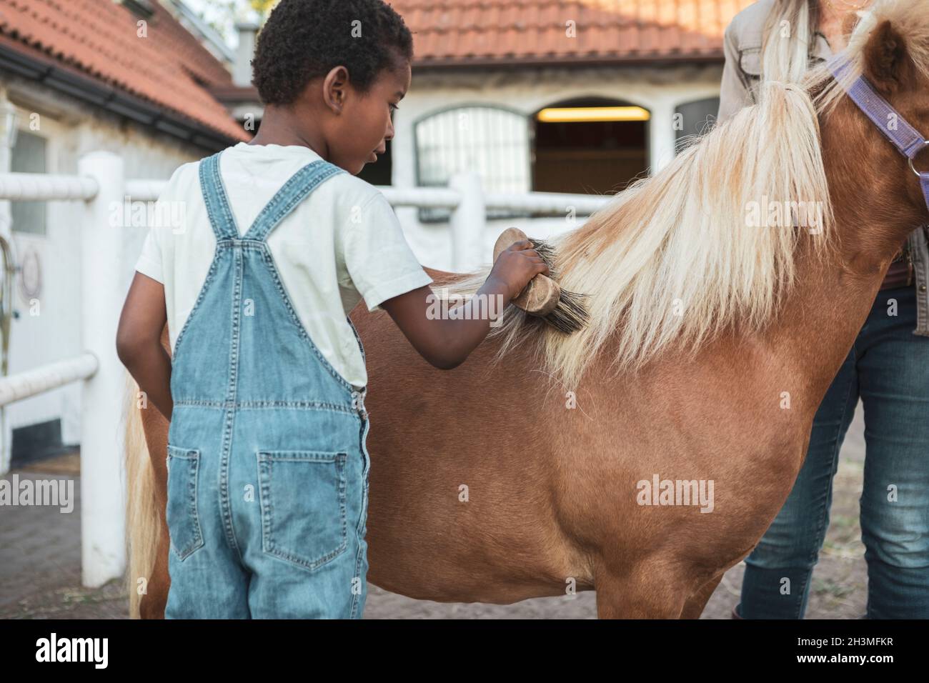 Garçon brossant le cheval dans la ferme Banque D'Images