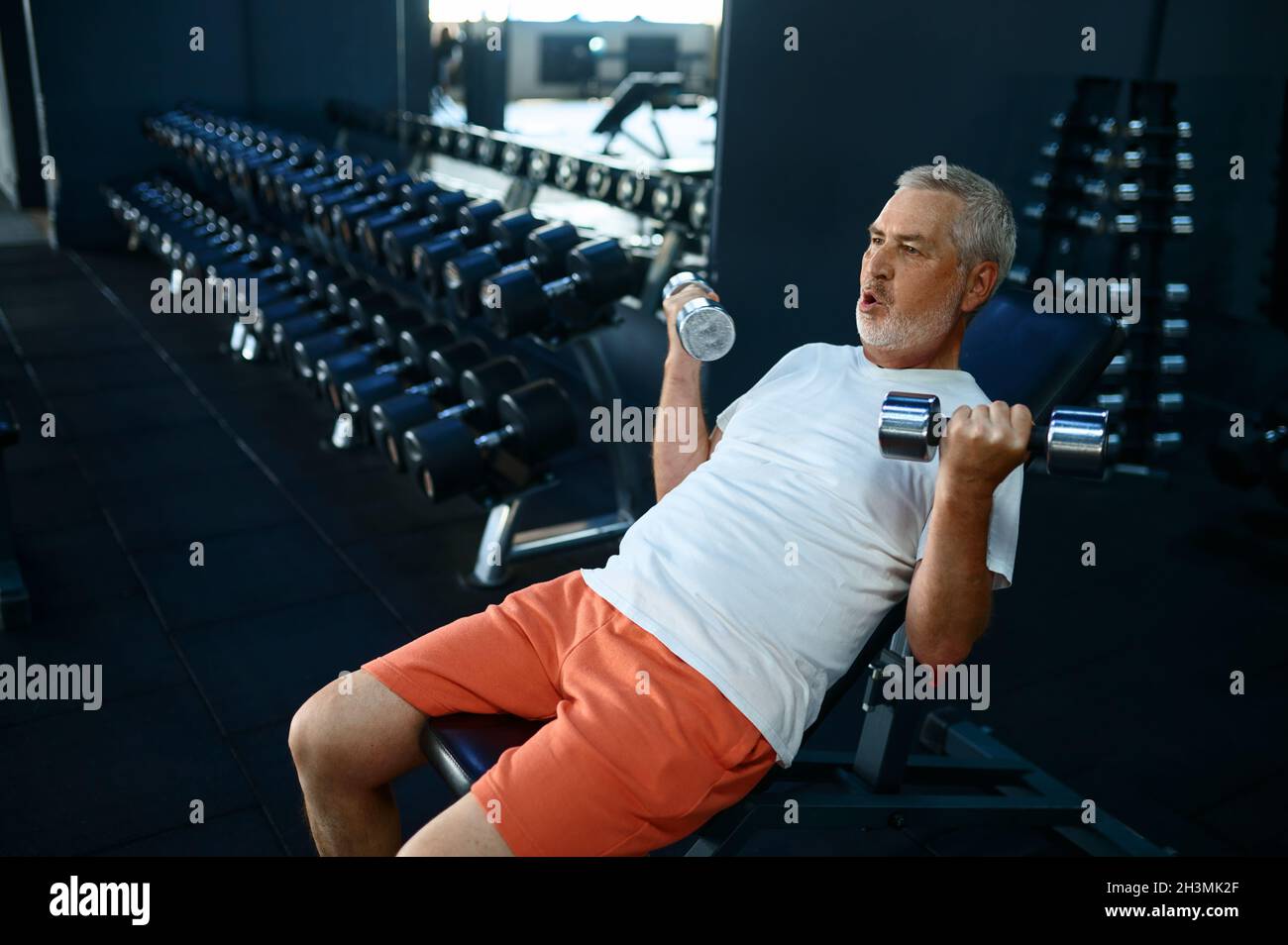 Homme âgé, entraînement avec haltères sur banc, salle de gym Banque D'Images