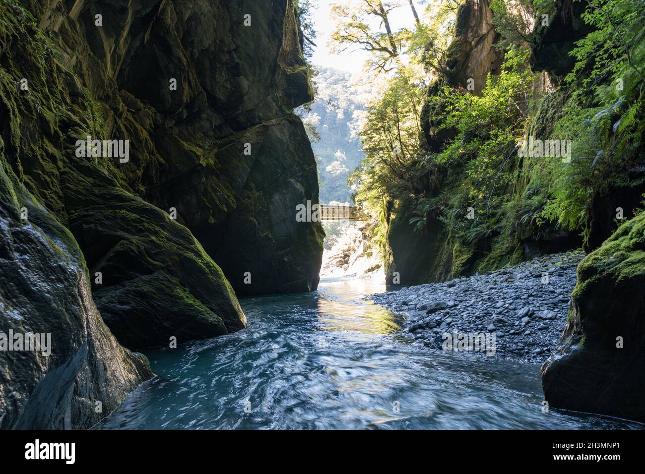 Gorge Étroite Avec Cascade, Wilson Creek, Haast Pass, Côte Ouest, Île Du Sud, Nouvelle-Zélande Banque D'Images