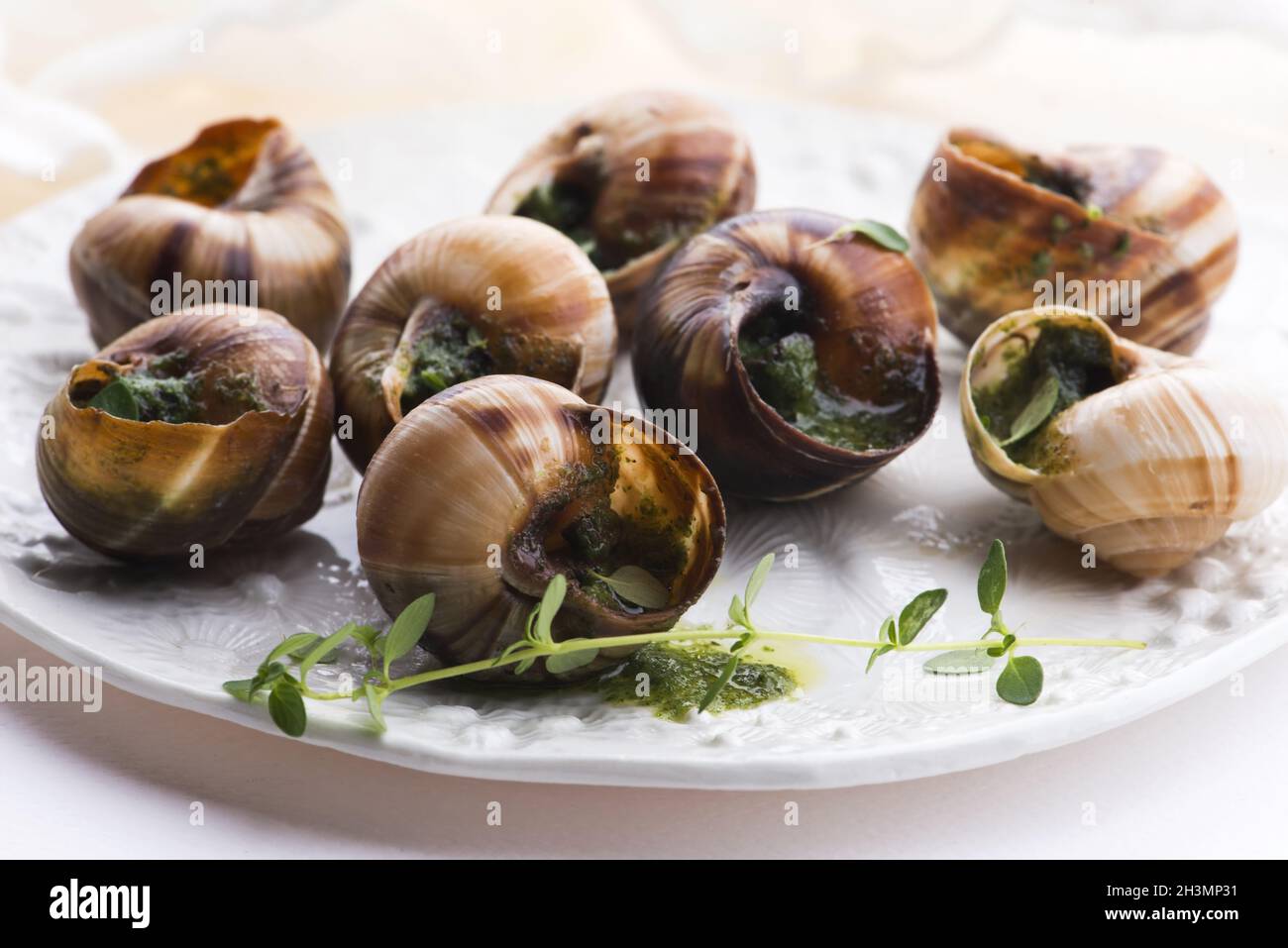 Plateau d'escargot, délicieux plats français Banque D'Images