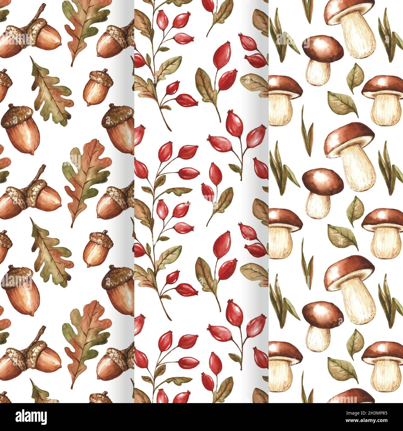 collection de motifs d'automne thème illustration de la conception vectorielle Illustration de Vecteur