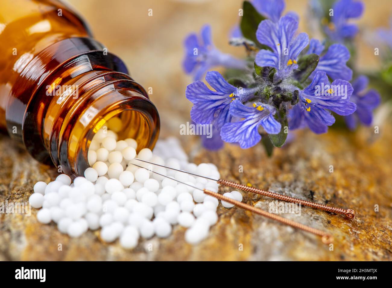 Médecine alternative avec l'acupuncture et les pilules à base de plantes Banque D'Images