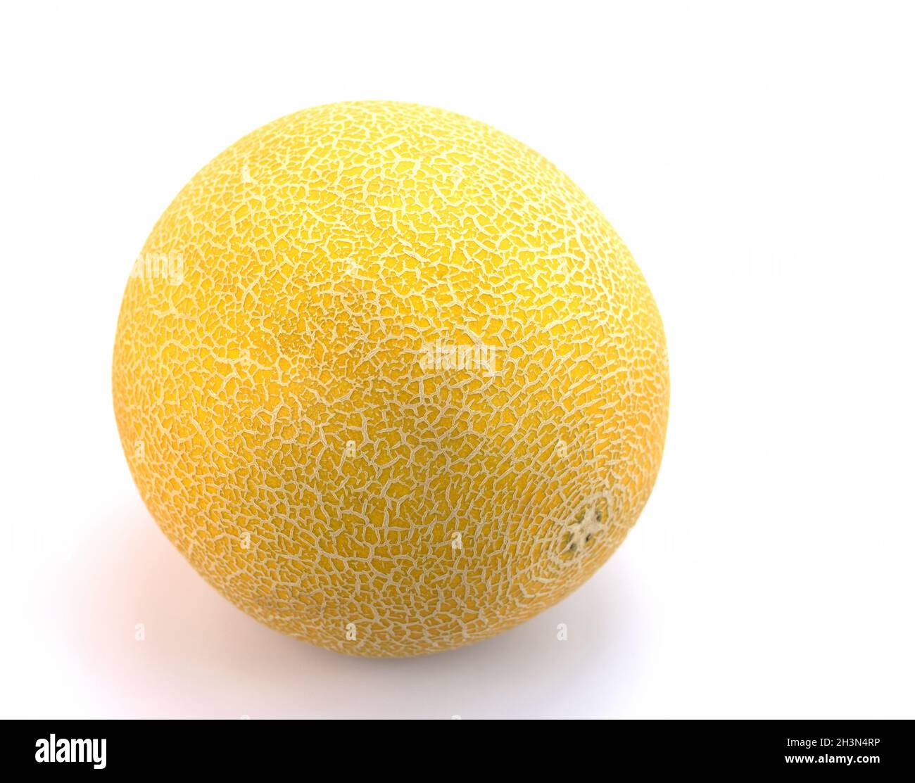 Galia melon, cucumis melo, devant un fond blanc Banque D'Images