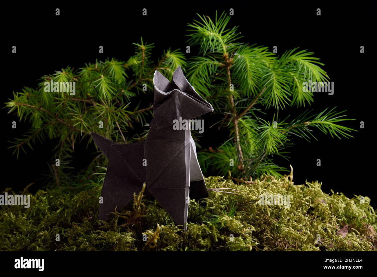 Origami loup papier sur mousse verte isolée sur fond noir Banque D'Images