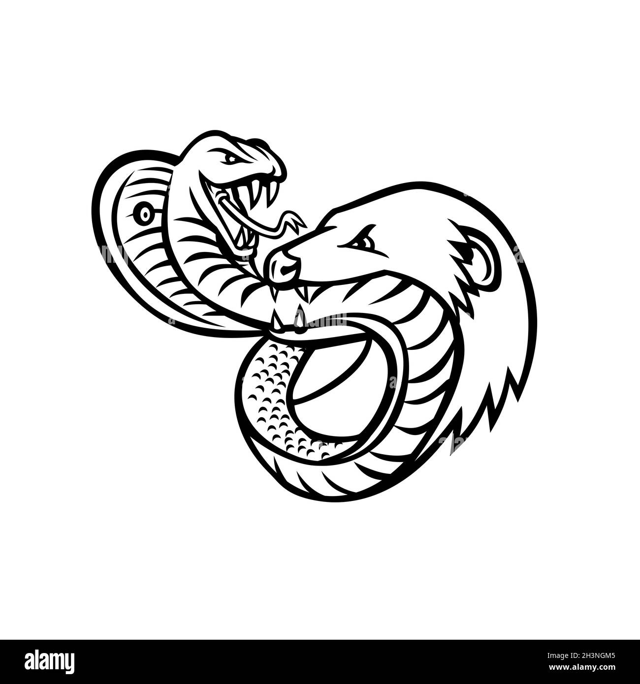 King Cobra Snake et Mongoose combattant mordant et attaquant Mascot Retro Noir et blanc Banque D'Images