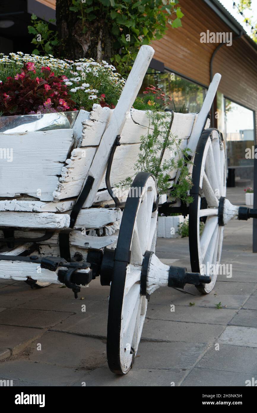 Un vieux chariot blanc avec des fleurs.Le chariot est un lit de fleur. Banque D'Images