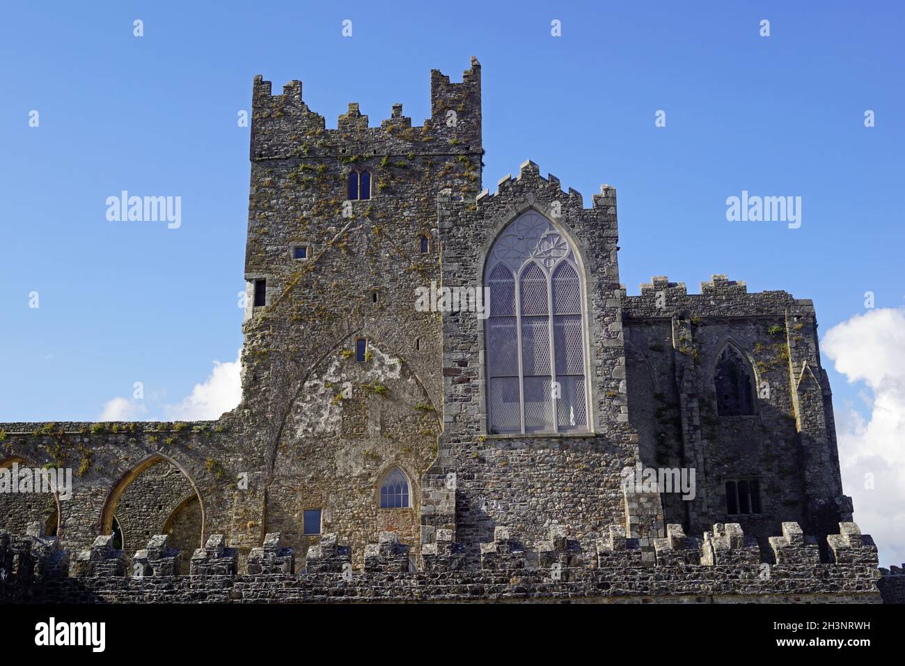 Abbaye de Tintern Irlande Banque D'Images