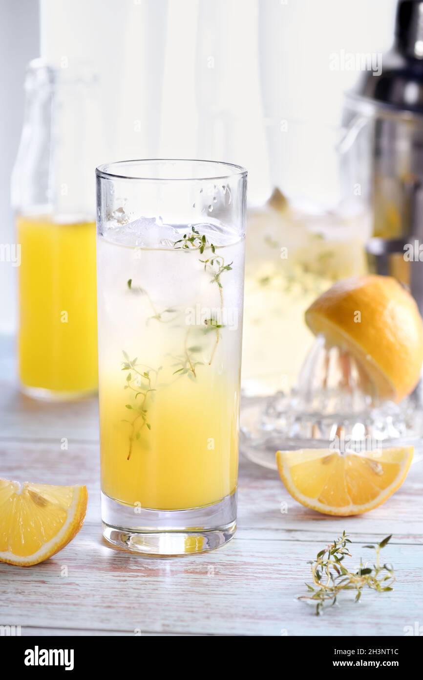 Cocktail d'été facile (Limoncello) jus de citron frais, vodka et club soda ou eau pétillante.Ceci Banque D'Images