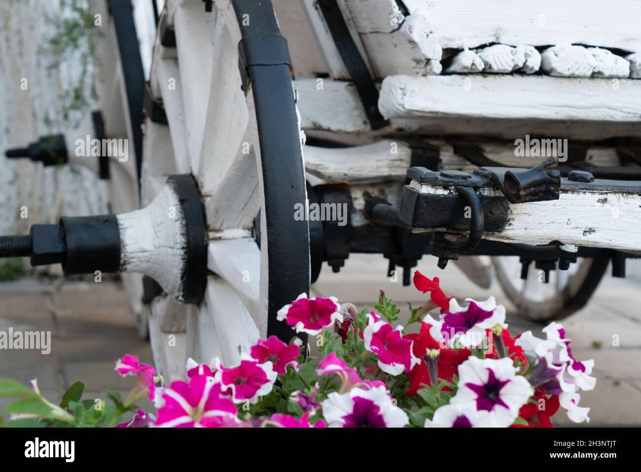 Un vieux chariot blanc avec des fleurs.Le chariot est un lit de fleur. Banque D'Images