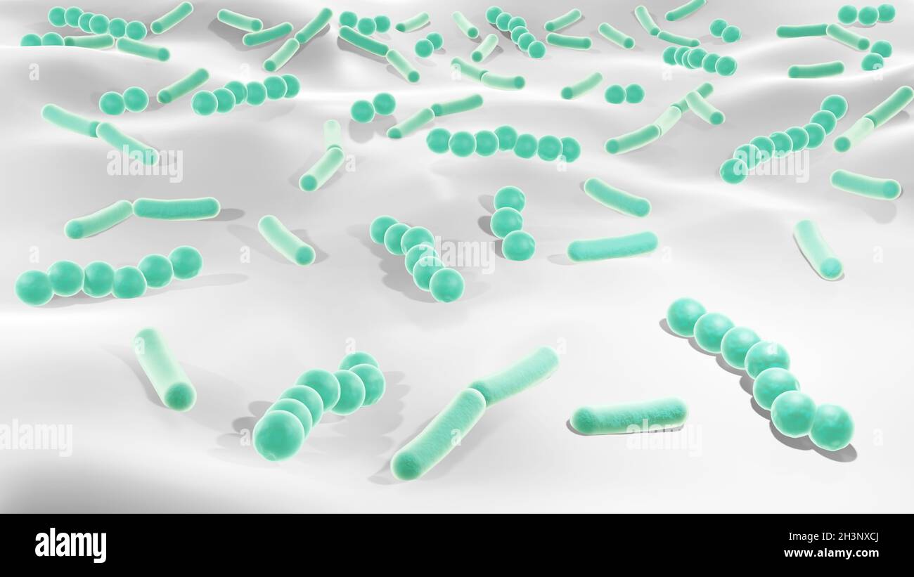 Bactéries sur une dent, illustration Banque D'Images