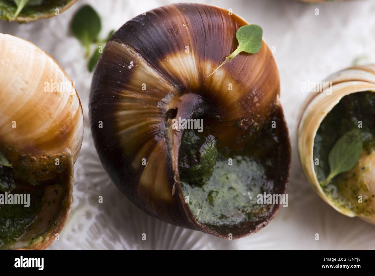 Plateau d'escargot, délicieux plats français Banque D'Images