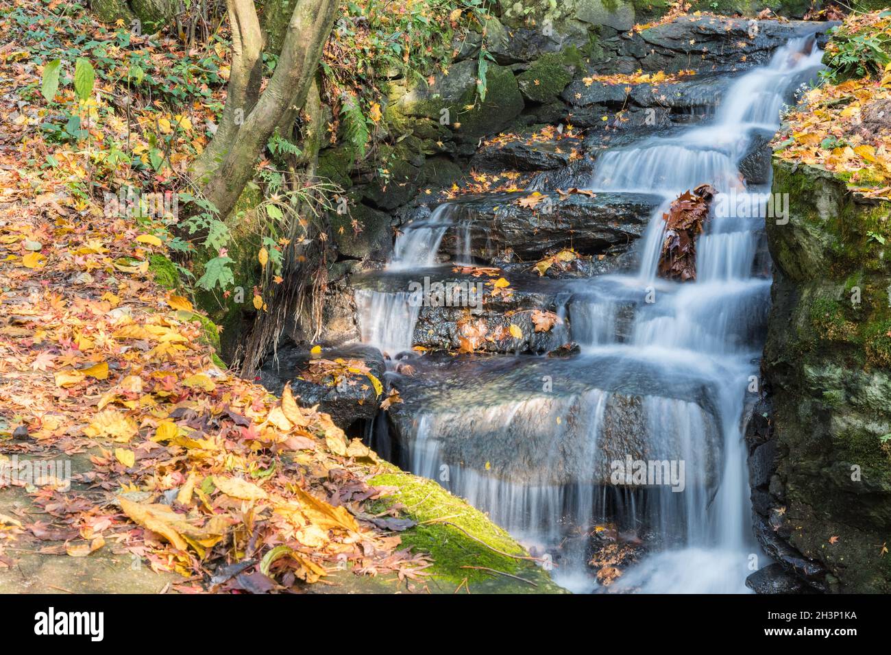 Ruisseau et feuilles tombées en automne Banque D'Images