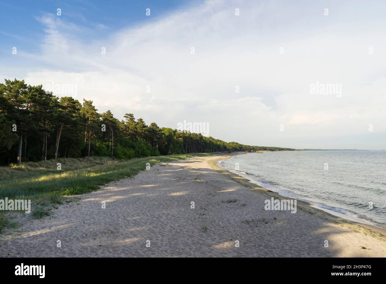 Plage de sable dans le sud de la Suède près de Trelleborg.Belle nature suédoise et paysage à la mer le jour de l'été. Banque D'Images