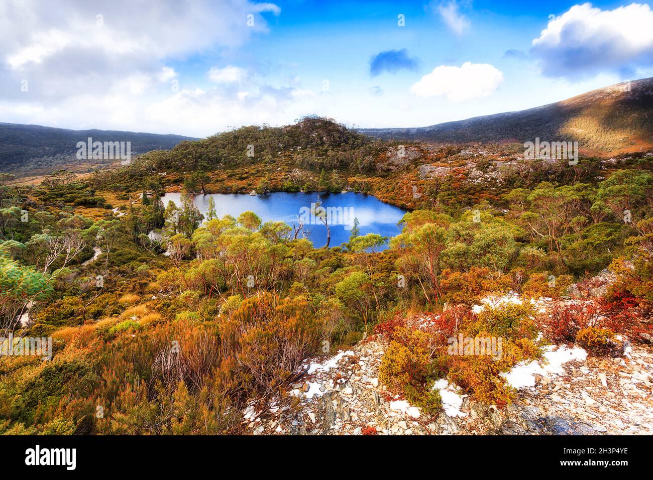 Piscine wombat sur une piste autour du lac Dove dans le parc national de Cradle Mountain, Tasmanie.Paysage hivernal enneigé. Banque D'Images