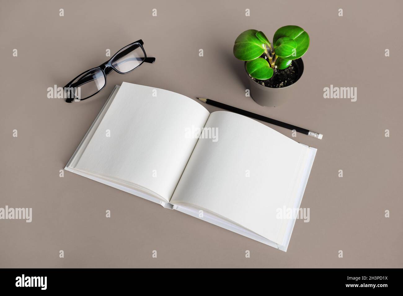Brochure, crayon, verres, plante Banque D'Images