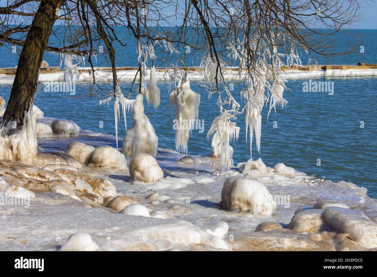 Glaces sur les branches des arbres sur les rives du lac Michigan Banque D'Images