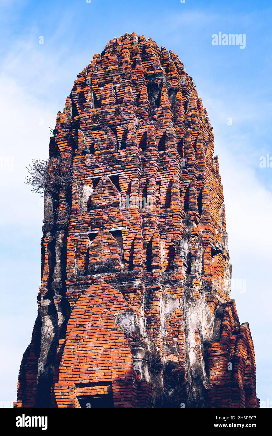 Vieilles ruines de Wat Mahathe à l'intérieur du célèbre site historique d'Ayutthaya en Thaïlande Banque D'Images