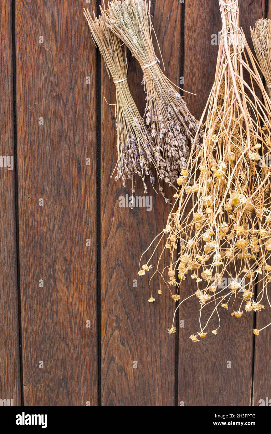 Des grappes d'herbes séchées sur un arrière-plan en bois brun Banque D'Images