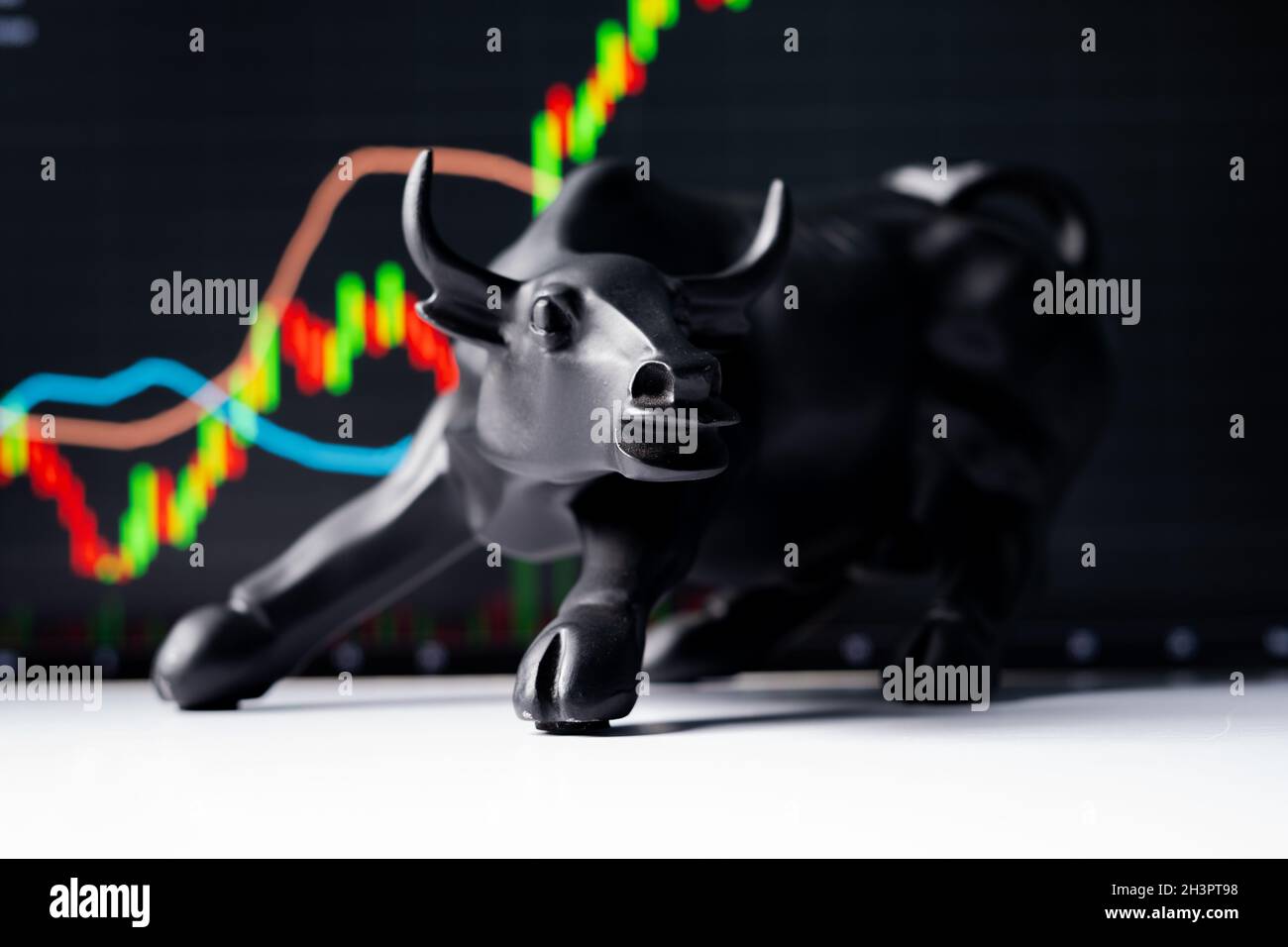 Sélective Focus sur le taureau, concept de taureau, boom ou l'augmentation de la Bourse montrant en augmentant les graphiques et le taureau entrant dans le cadre. Banque D'Images