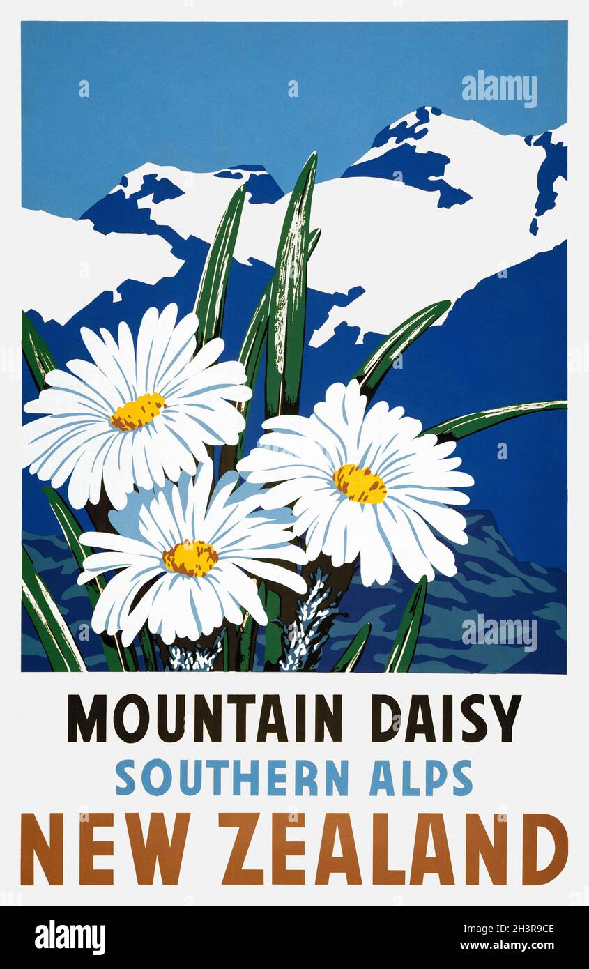 Pâquerette de montagne, Alpes du Sud, Nouvelle-Zélande.Artiste inconnu.Affiche ancienne restaurée publiée dans les années 1950 en Nouvelle-Zélande. Banque D'Images