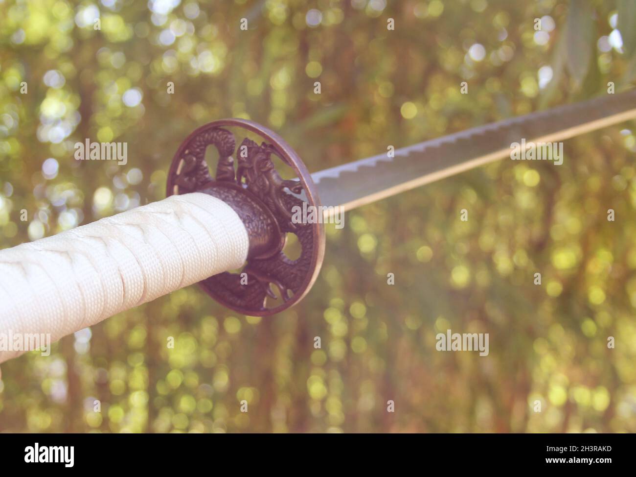 Fond Combattant De Kendo En Armure Traditionnelle Avec épée De Bambou Photo  Et Image en Téléchargement Gratuit - Pngtree