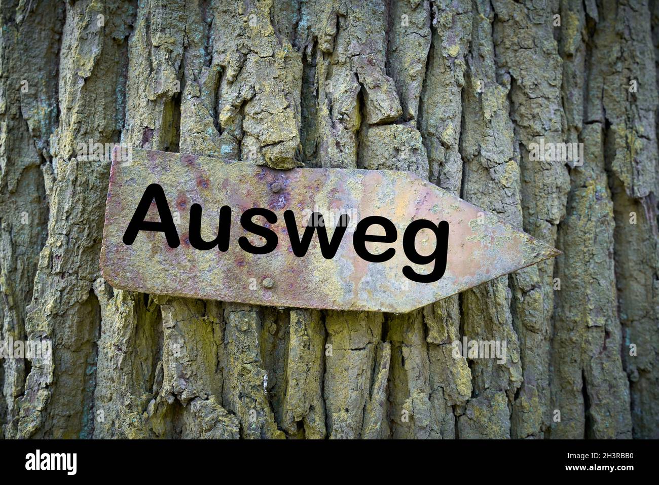 Vieux panneau rouillé avec l'inscription Way Out (Ausweg) sur un arbre Banque D'Images