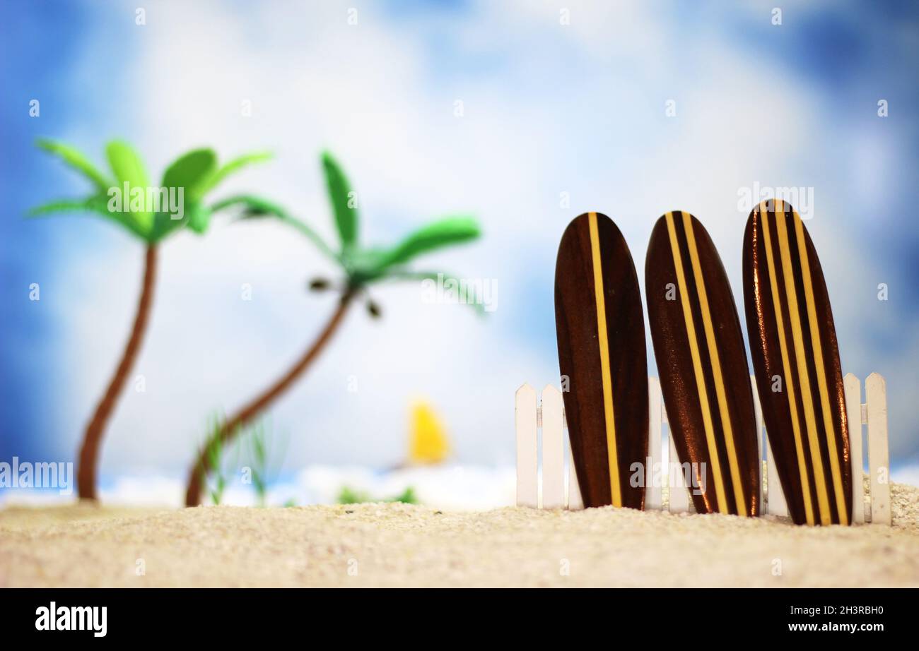 Planches de surf sur la plage tropicale Banque D'Images