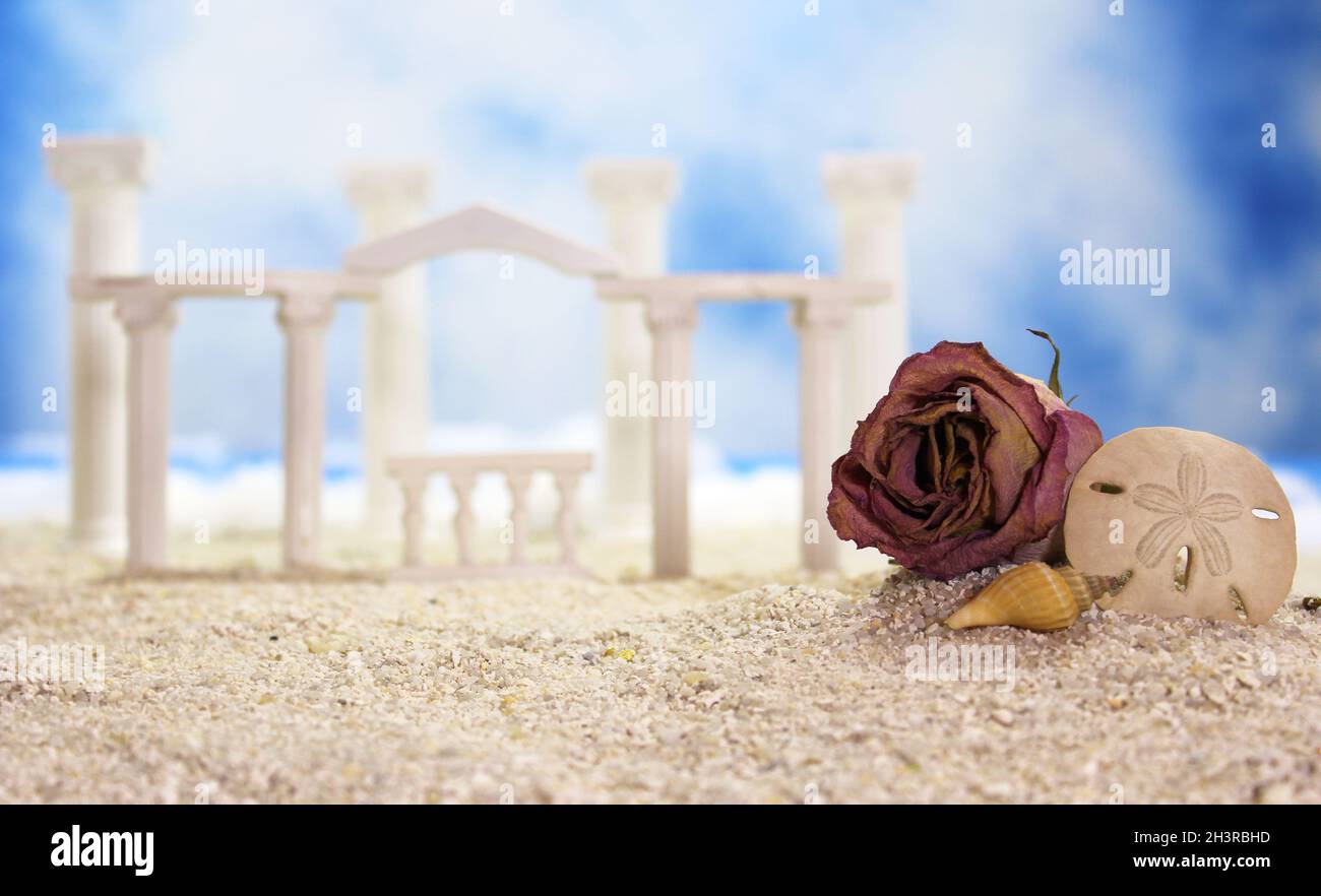 Plage tropicale avec coquillages Banque D'Images