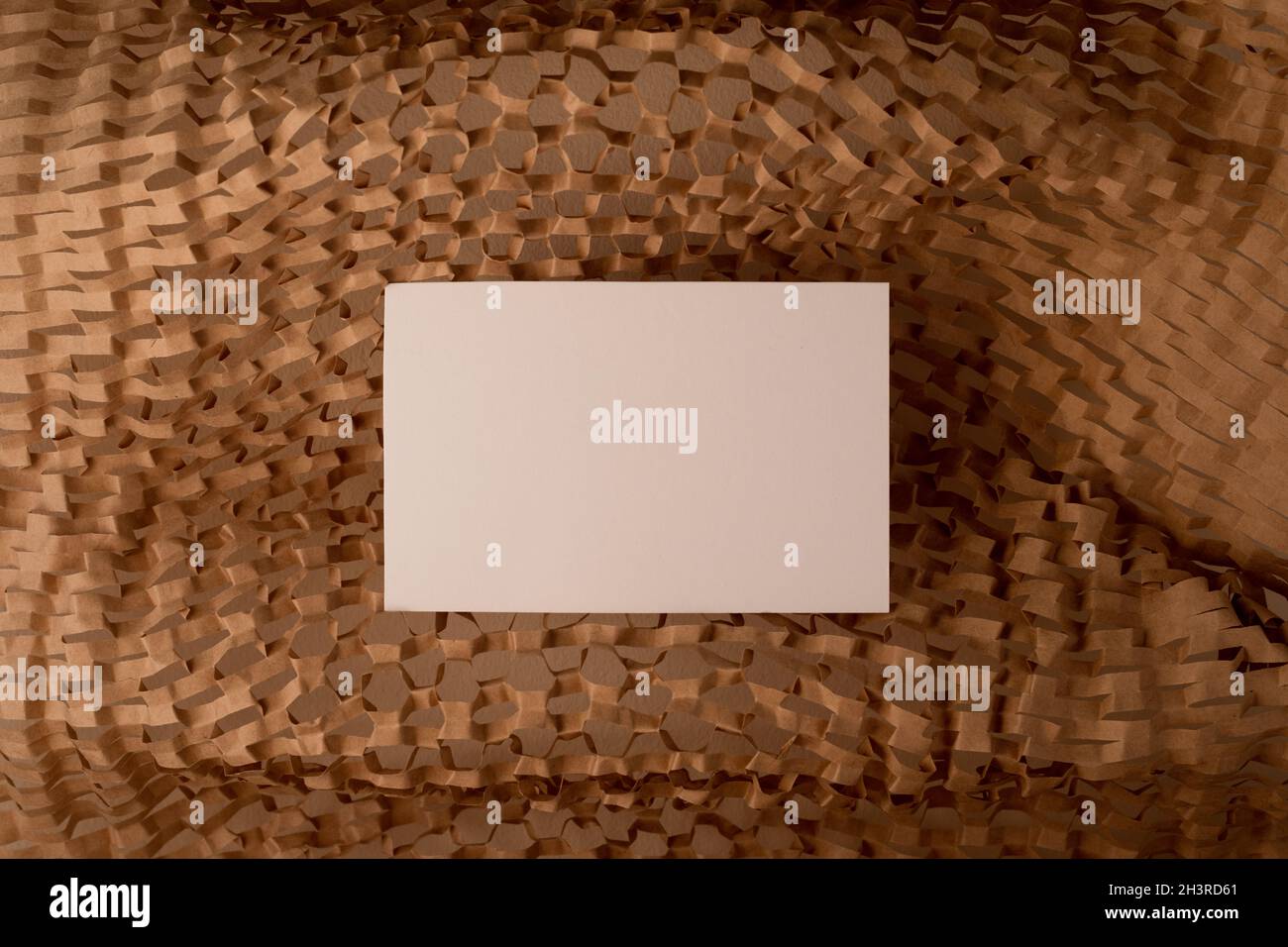 Carte de nom d'entreprise vierge sur l'arrière-plan des produits durables.Vider la carte d'identité de marque avec l'emplacement pour le texte Banque D'Images