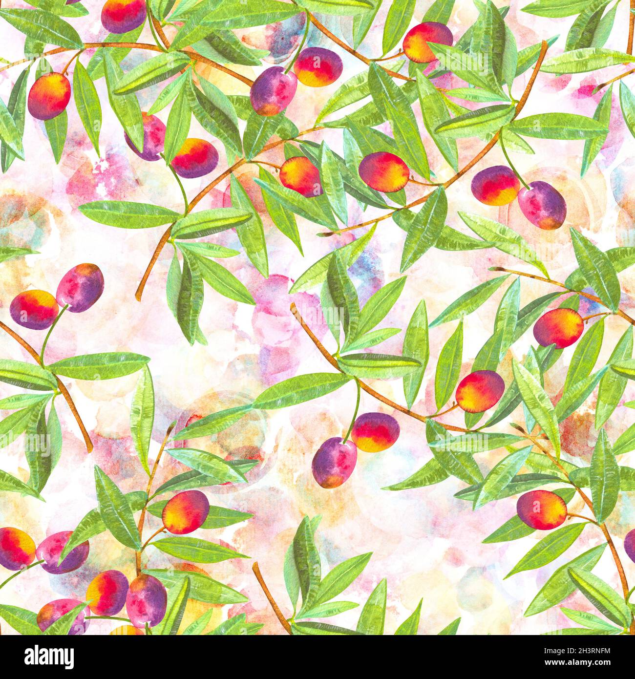 Un motif aquarelle sans couture de branches d'olivier vibrantes aux olives Banque D'Images