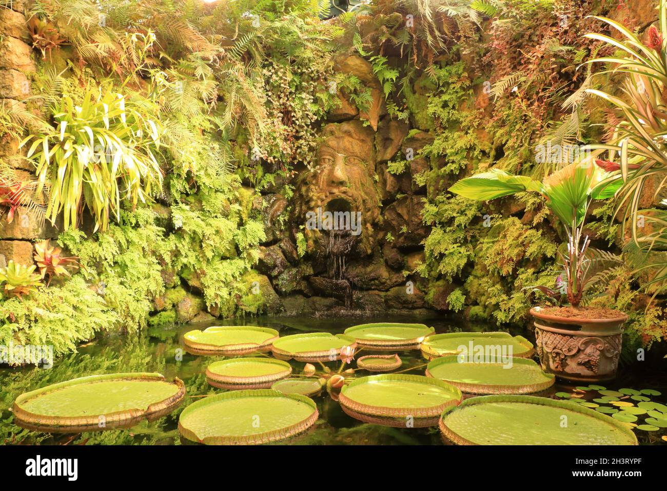 Jardin botanique la Mortella à Ischia, Forio en Italie Banque D'Images