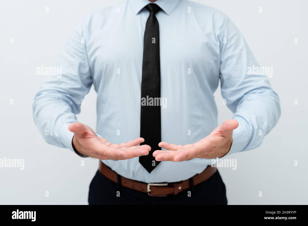 Présentation des idées de nouveaux plans démonstration du processus de planification Présentation des nouvelles idées de conception de plans Présentation des idées de l'entreprise enseignement L Banque D'Images