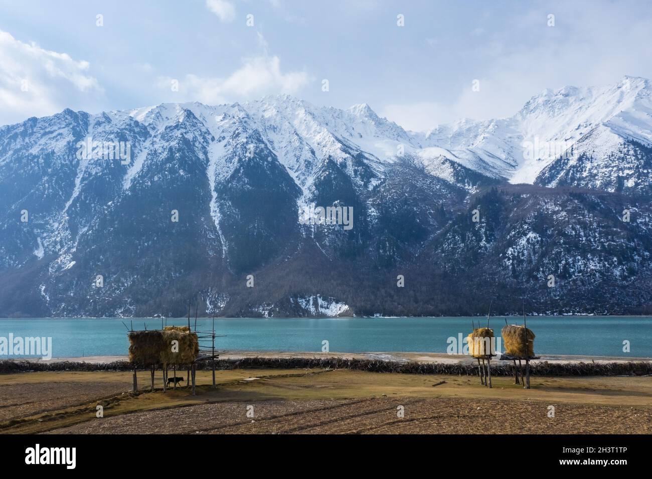 Paysage du lac de Ranwu au Tibet Banque D'Images