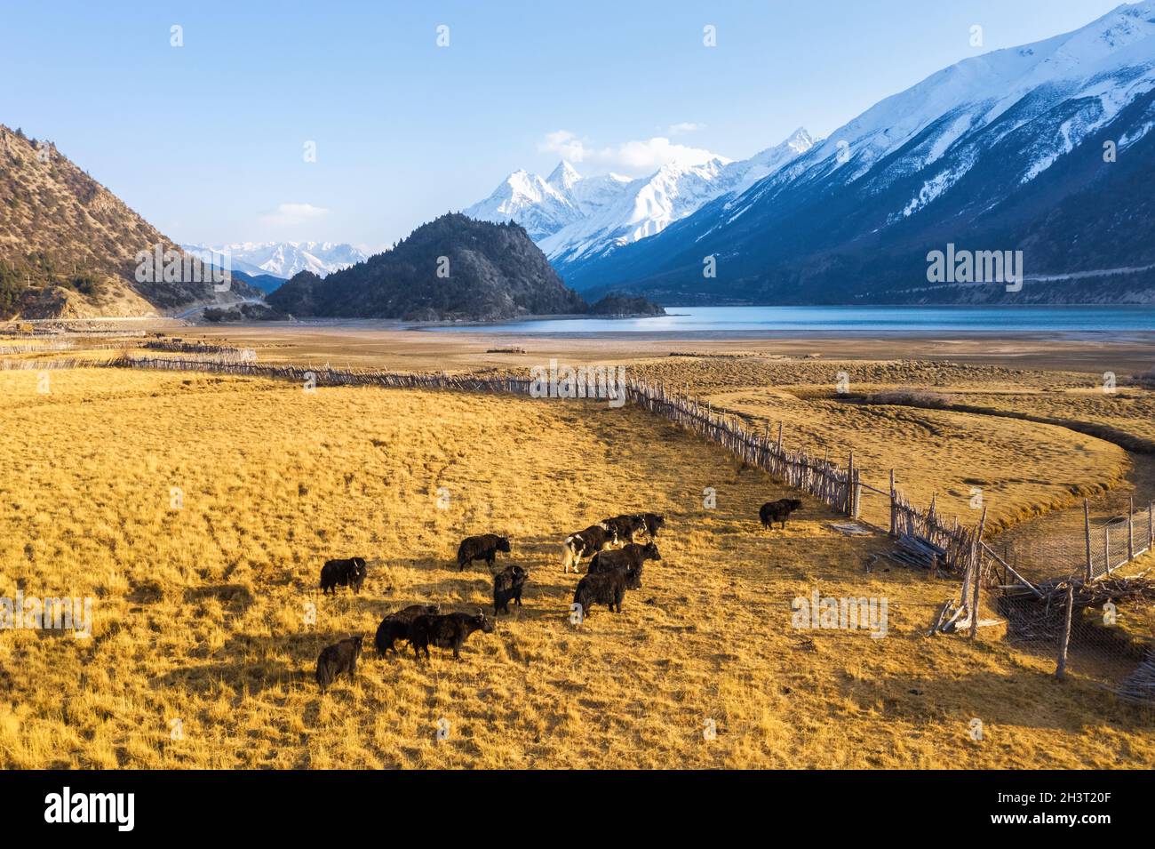 Paysage rural par le lac Ranwu au Tibet Banque D'Images
