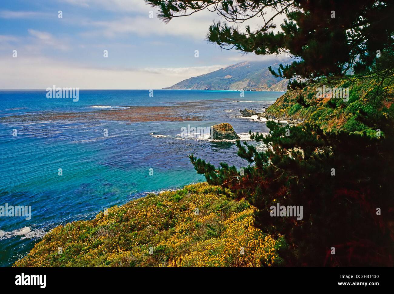 Big sur , Californie Banque D'Images
