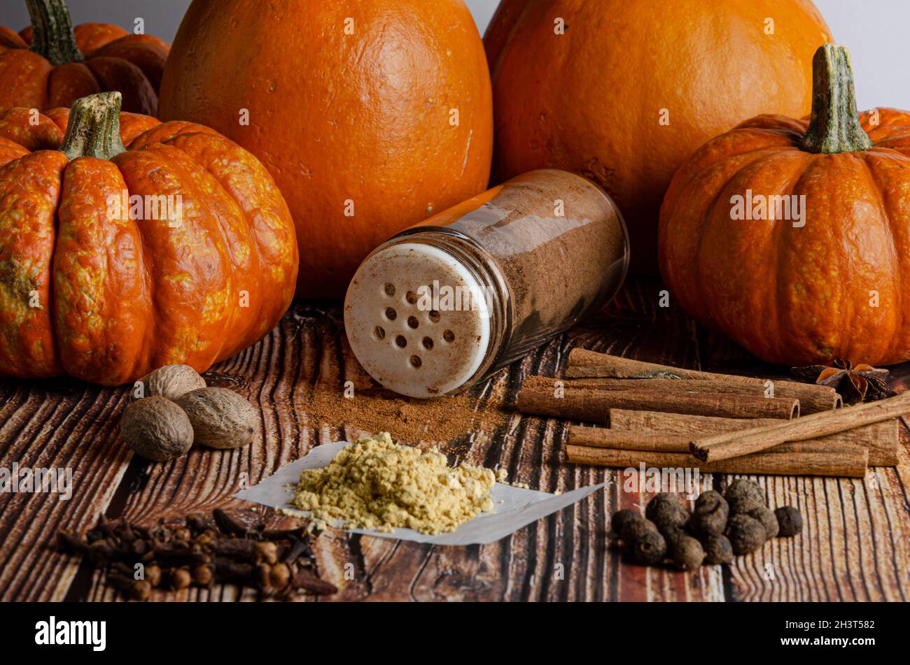 Saupoudreuse à épices entourée de citrouilles et d'ingrédients pour la fabrication d'épices à citrouilles Banque D'Images