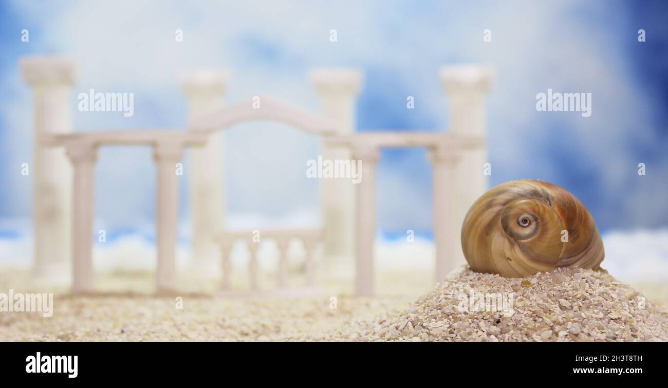 Seashell sur la plage tropicale Banque D'Images