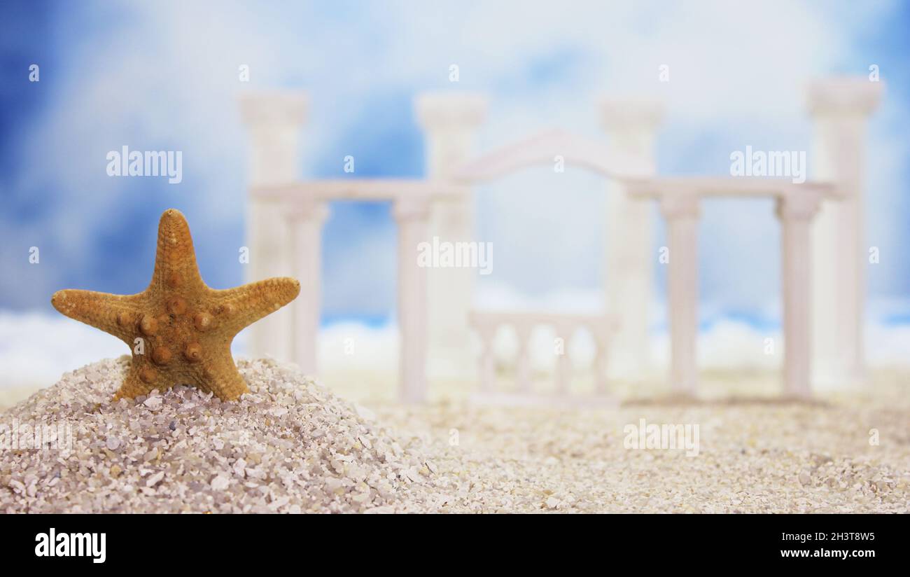 Seashell sur la plage tropicale Banque D'Images