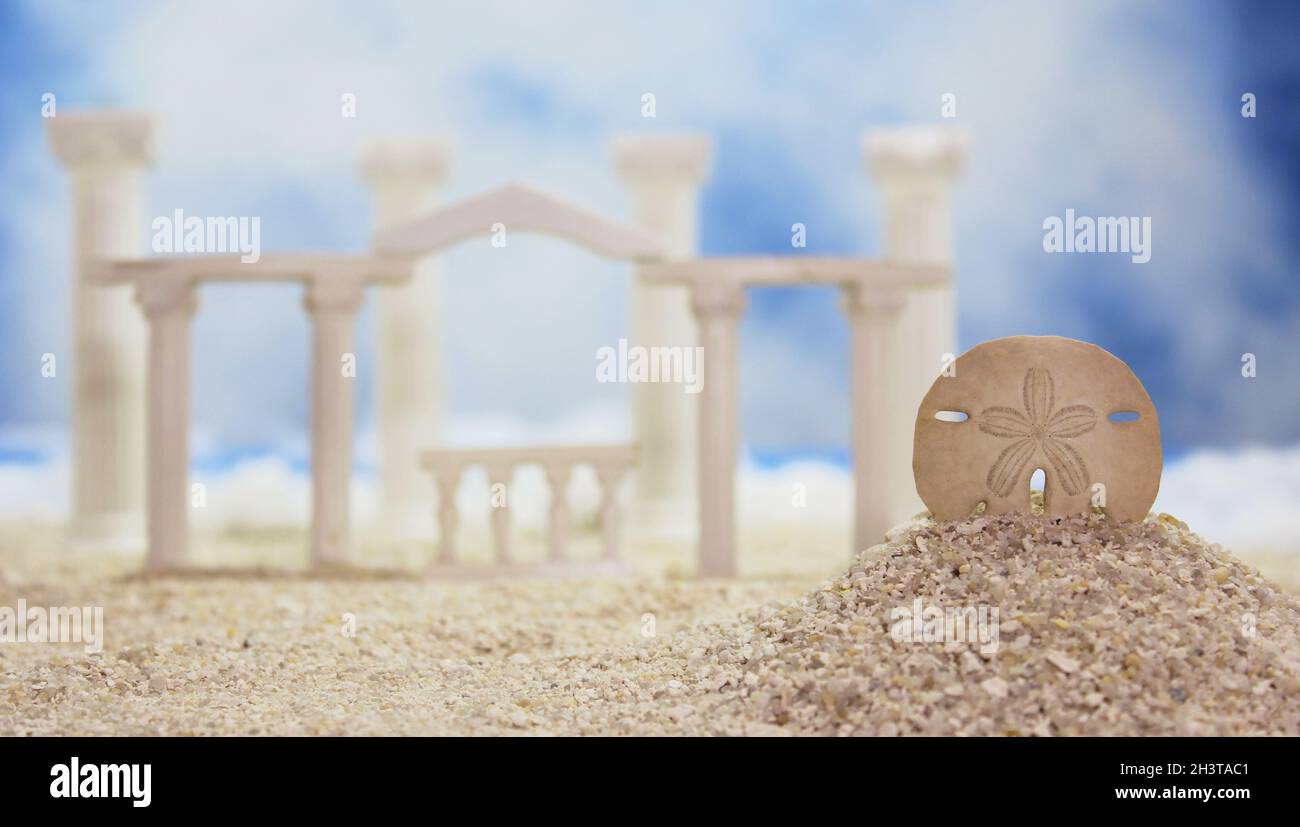 Seashell sur la plage tropicale Banque D'Images