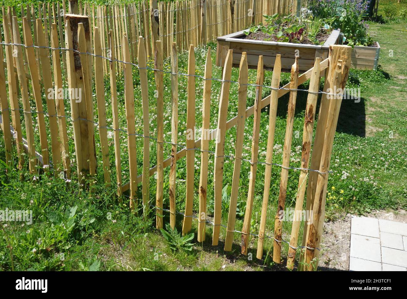 Holzzaun, clôture en bois Banque D'Images