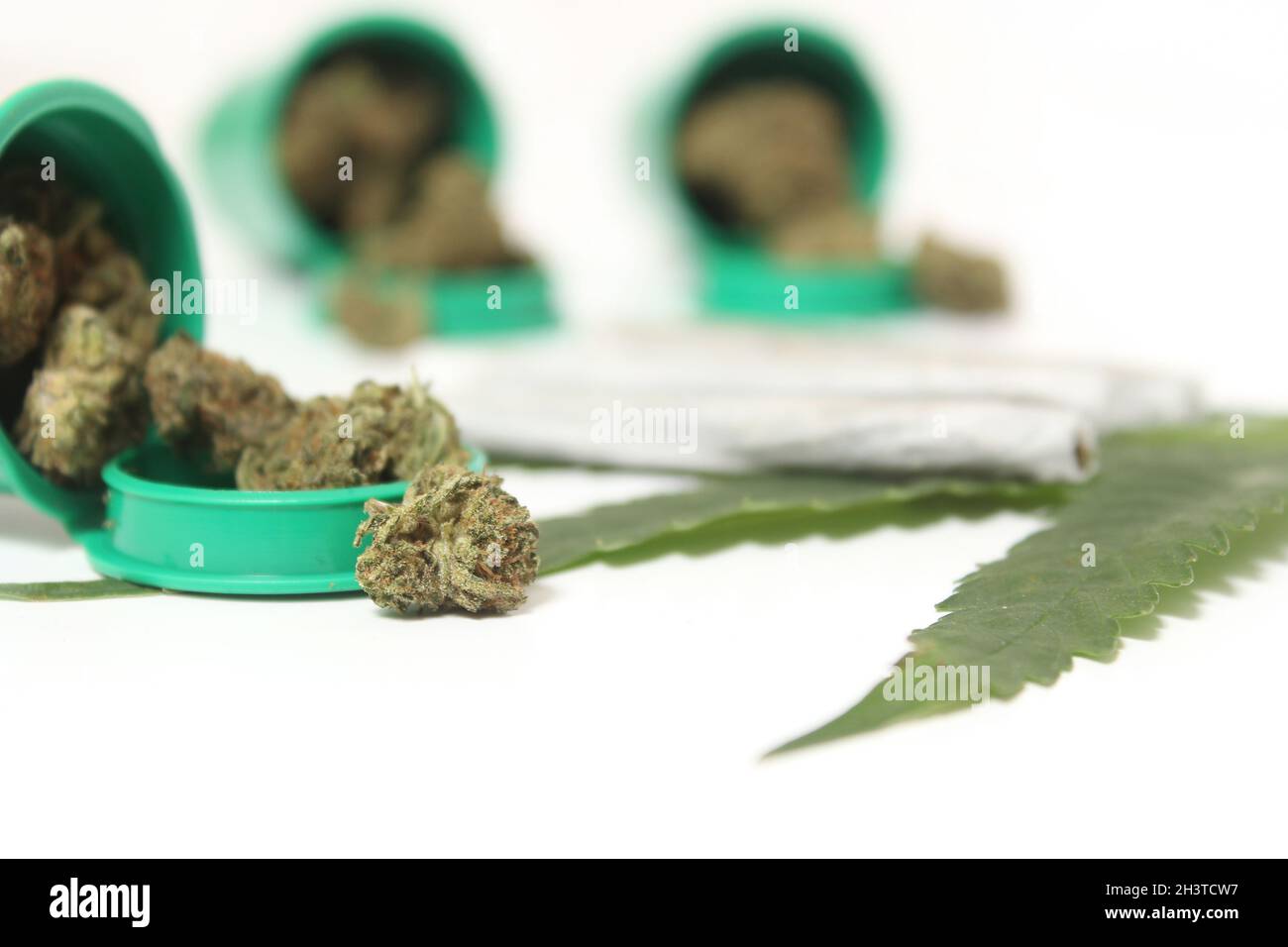 Mentions légales bourgeons de marijuana et fleurs de chanvre du CBD avec feuille verte Banque D'Images