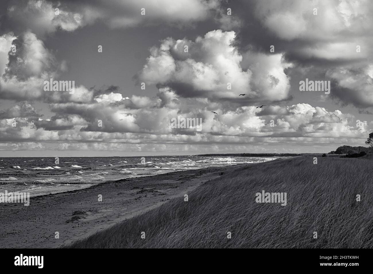 sur la plage de la mer baltique avec des nuages, des dunes, la plage et celle en noir et blanc. loisirs en vacances Banque D'Images