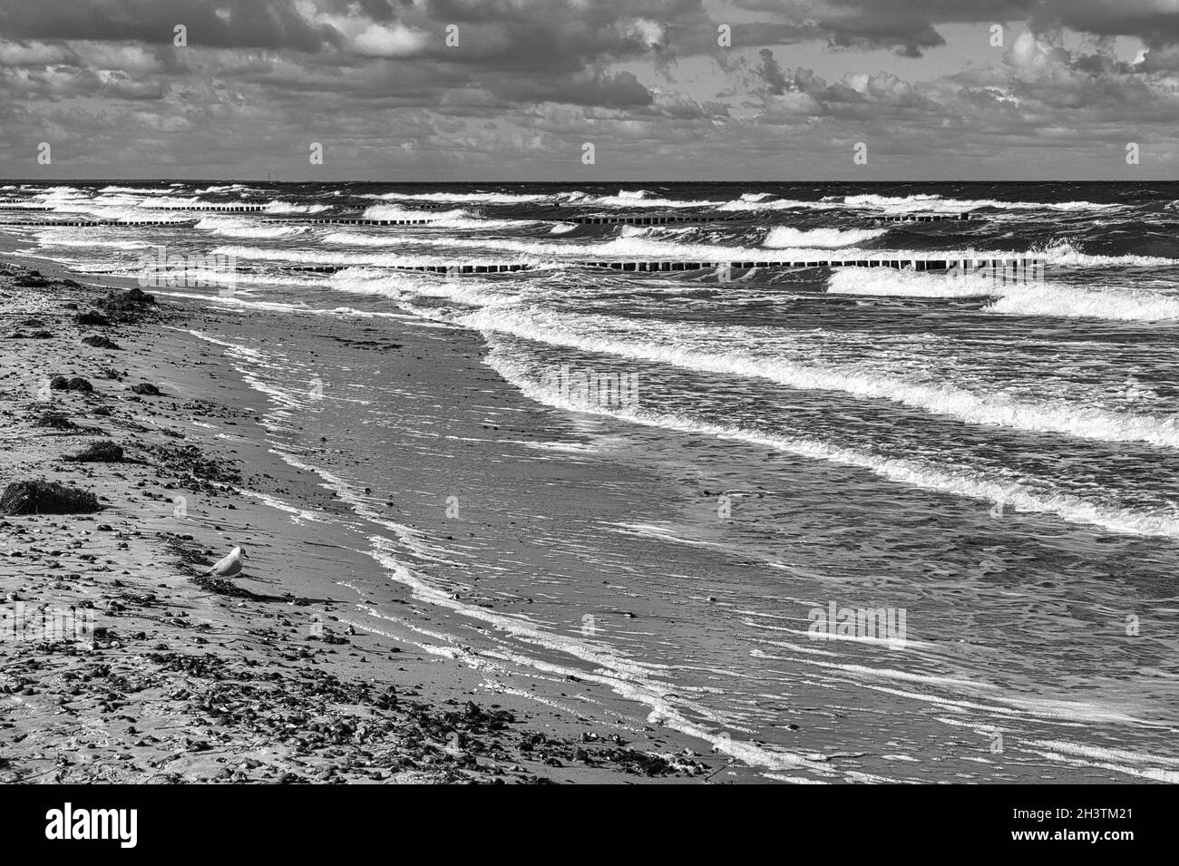 sur la plage de la mer baltique avec des nuages, des dunes, la plage et celle en noir et blanc. loisirs en vacances Banque D'Images