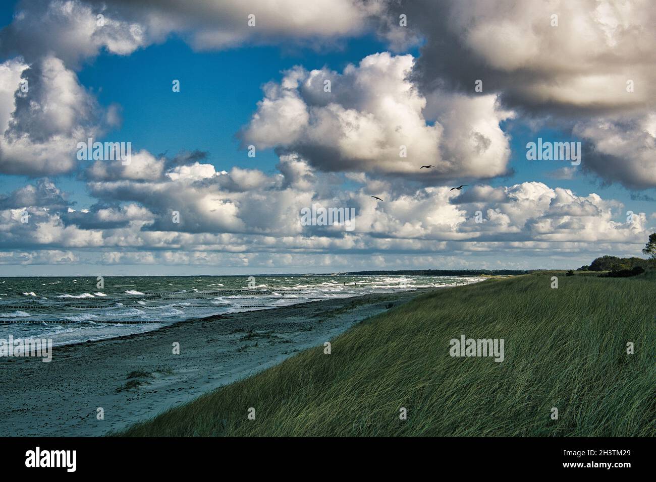 sur la mer baltique plage avec nuages, dunes et plage. loisirs en vacances Banque D'Images