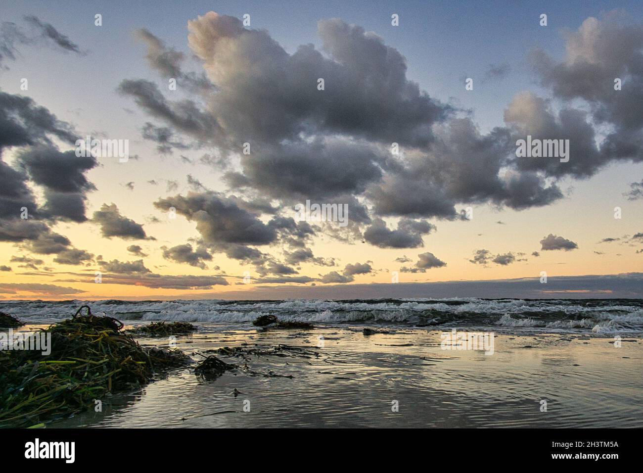 sur la mer baltique plage avec nuages, dunes et plage. loisirs en vacances Banque D'Images