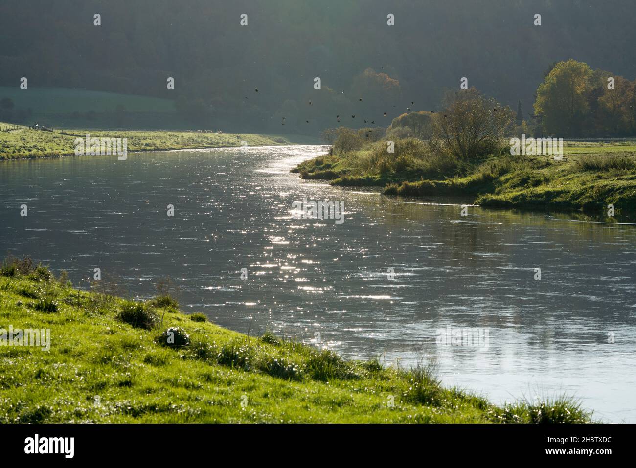 Rivière Weser près de Gewissenruh, Wesertal, Weser Uplands, Weserbergland, Hesse,Allemagne Banque D'Images